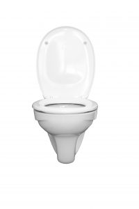 Fluenta toilet bowl